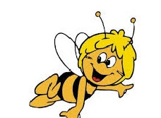 Pszczoły na łące 13.05.2020