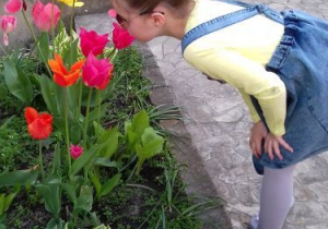 Lena i tulipany
