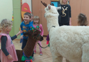 Alpaki z dziećmi z grupy II-ej.